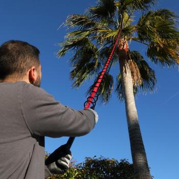 Lanza Telescópica profesional Pulmic, resistente y ligera, de 5m de longitud y referencia 9103