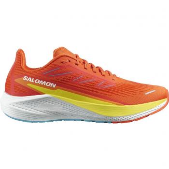 Salomon