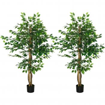 Verde Pura Vida Ficus 1,5 m