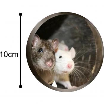 Collection of 5 3D Mouse Wall Stickers Mouse in a Hole for Home Office Decoration