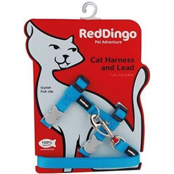 Ensemble de harnais et laisse Red Dingo turquoise