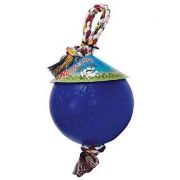 Jolly Pets Romp-n-Roll 8 inch Blue Rubber Ball with Rope for Dogs