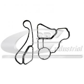 3RG Kit de Juntas Intercambiador