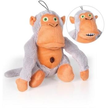 Crazy monkey