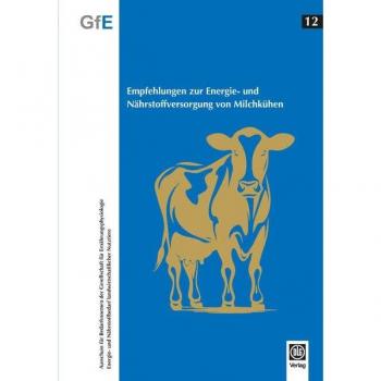 Empfehlungen zur Energie