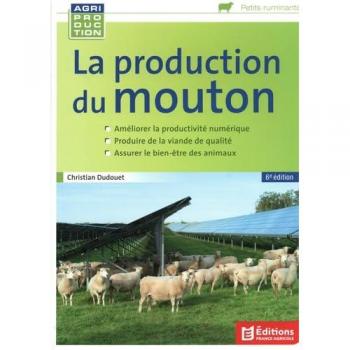 La Production Du Mouton