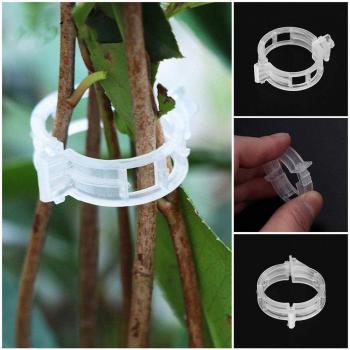 50pcs Vegetable Support Clips