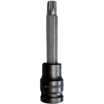 Torx xzn choc carré 1/2 embout impact