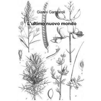 L'ultimo nuovo mondo
