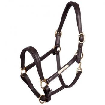 Leather Horse Halter