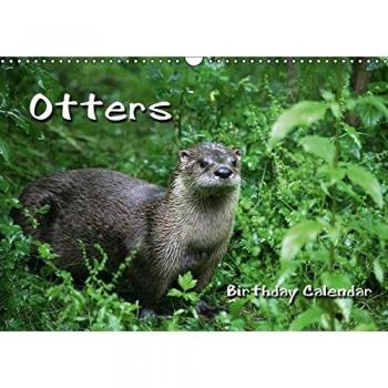 CALVENDO Animals: Otters / UK-Version / Birthday Calendar