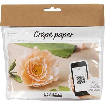 Mini Kit DIY Papier Crépon Pivoine 180% 105 gr 1Pq