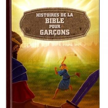 Histoires de la Bible pour garçons