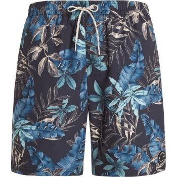 PROTEST Herren Badeshorts Grau PRTDORSET