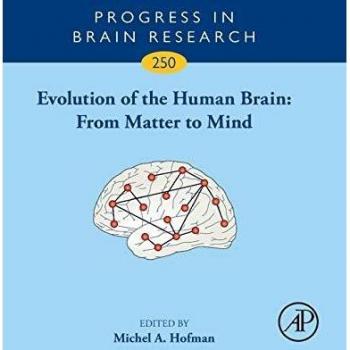 Evolution of the Human Brain: From Matter to Mind: Volume 250