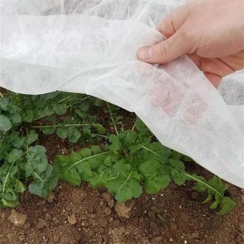 Plant Frost Protection Fleece 8M