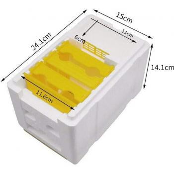 Caja de Cría de Reina con Espuma Aislante