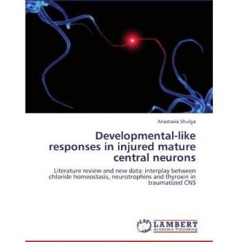 Developmental-like responses in injured mature central neurons: Literature review and new data: interplay between chloride homeostasis, neurotrophins and thyroxin in traumatized CNS