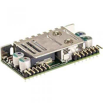 Mean Well NID100-24 100.8W DC/DC Converter