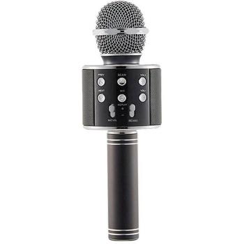 Wireless Karaoke Microphone for Children