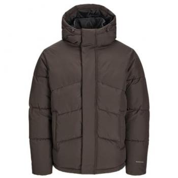 Boy's XL Jack & Jones World Jacket in Mulch