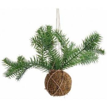 Décoration Kokedama Sphérique 6 unités