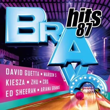 Bravo Hits Vol.87