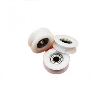 Ranura Redonda Nylon con Rodamiento 608ZZ Dual Shield 5x8*30*10 mm