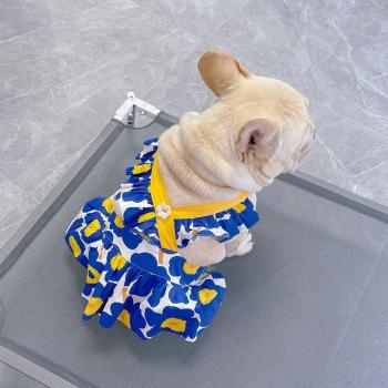 Pet Dress with Blue Flowers