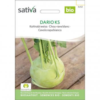 Dario Ks Cavolo Rapa Bianco Bio