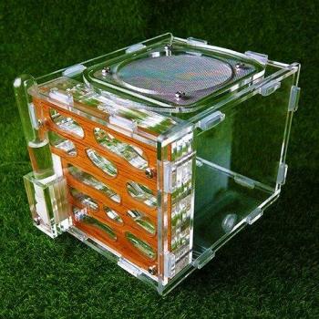 Stereo Ant Nest