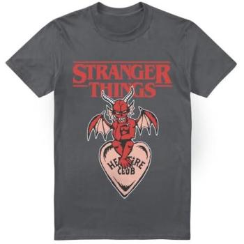 Netflix Stranger Things Small Charcoal Hellfire Tee