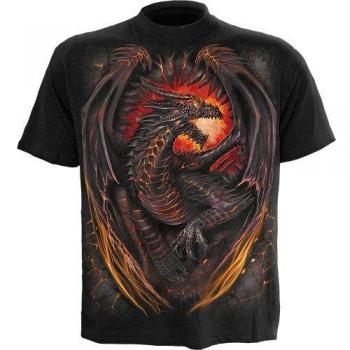 Spiral Dragon Furnace Men's T-Shirt