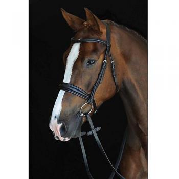 Briglia Cavesson Warmblood 4