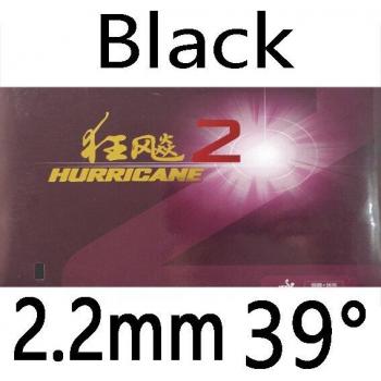DHS Hurricane 2 Rubber with Sponge