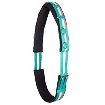 Imperial Riding Reiterbedarf Longiergurt Deluxe Jade