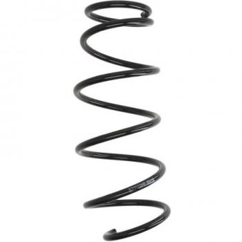 Ressort de suspension Magnum Technology SZ2122MT