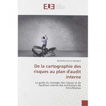 De la cartographie des risques au plan d'audit interne