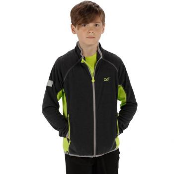 Regatta Pira Polaire Enfant Mixte SlGry/Limez Taille L