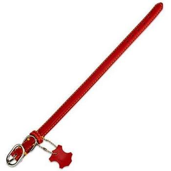 Collier 25 × 55 cm, cuir lisse couleur rouge