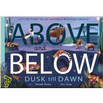 Above and Below: Dusk till Dawn : Lift the flaps to see nature's wonders unfold