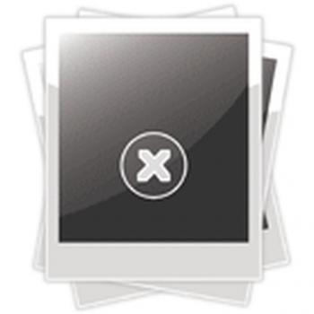 Paraolio albero a camme Y40112602