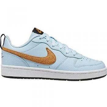 Nike Court Borough Low 2, Chaussures Sportives Homme, Bleu