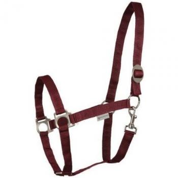 Waldhausen Cob Perlon Saddle Belt