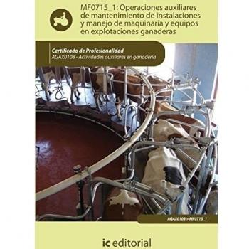 OPERACIONES AUXILIARES DE MANTENIMIENTO DE INSTALACIONES Y MANEJO