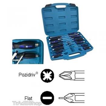 Cacciaviti Set 12 Pezzi Calamitati (A‑Taglio & Pozidriv) con Testa Esagonale