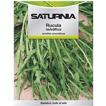 Semi Aromatici Rucola Selvatica (2,5 grammi)
