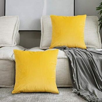 Specool Decorative Velvet Cushion Covers 2Pcs for Living Room Sofa