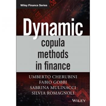 Dynamic Copula Methods in Finance