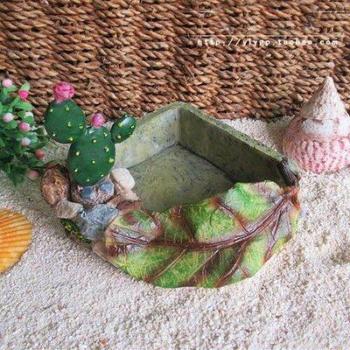 Garden Pool Pet Feeding Basin